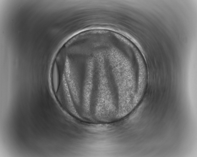 X0000088731533200706212030