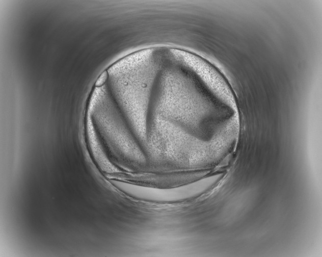 X0000088731534200706212030