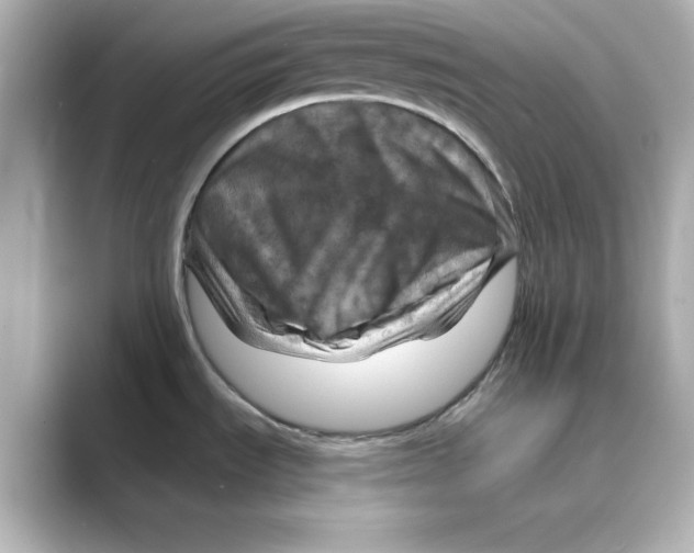 X0000088731535200706212030