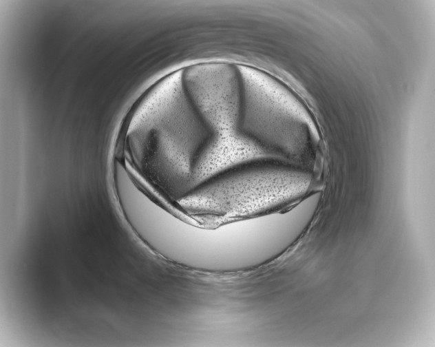 X0000088731536200706212030