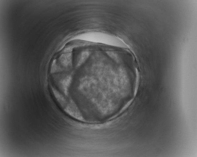 X0000088730002200706282133