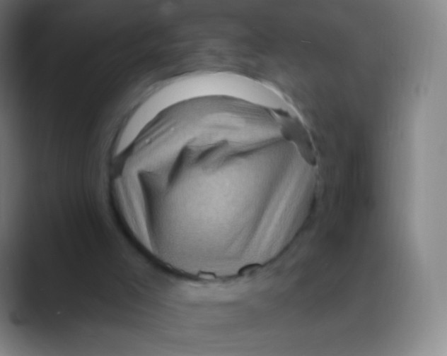 X0000088730005200706282133