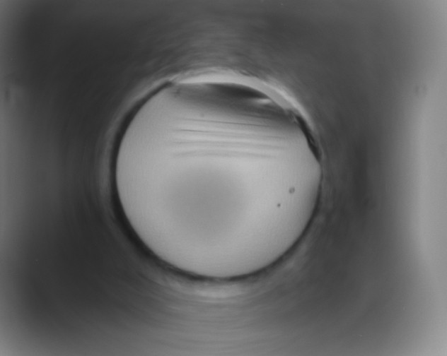 X0000088730008200706282133