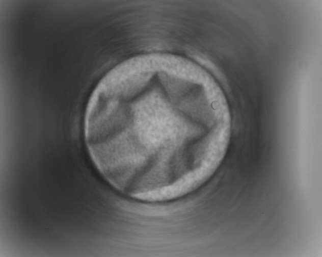 X0000088730010200706282133