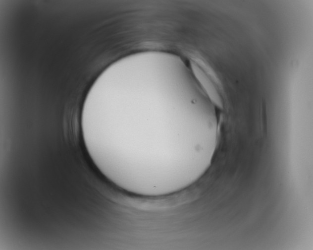 X0000088730011200706282133