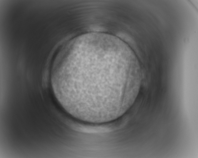 X0000088730012200706282133