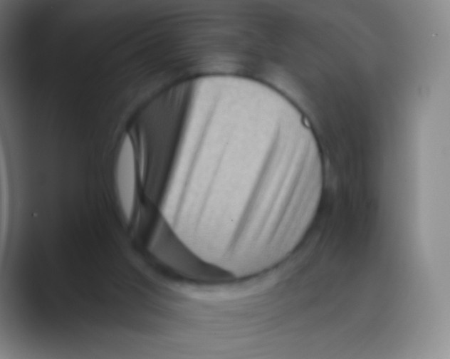 X0000088730013200706282133