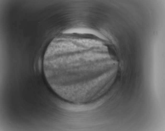 X0000088730014200706282133