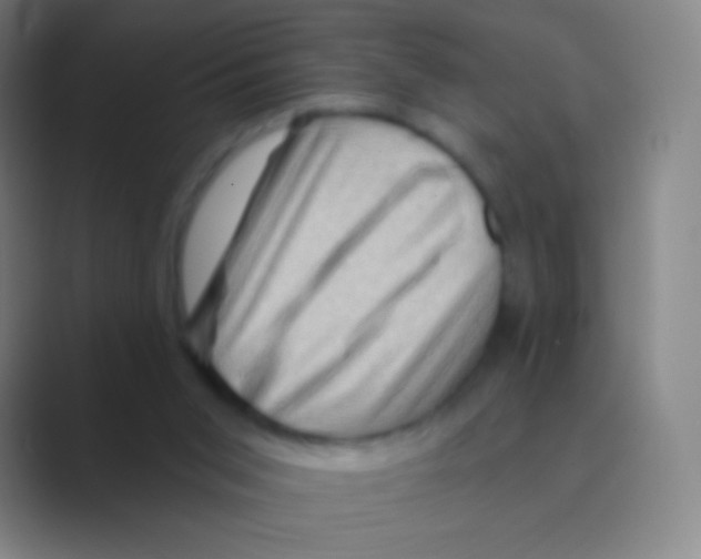 X0000088730015200706282133