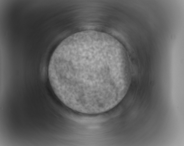 X0000088730016200706282133