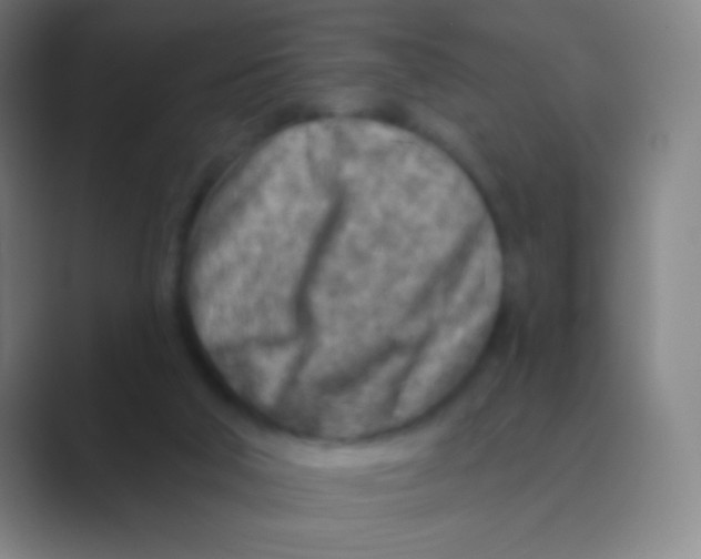 X0000088730018200706282133