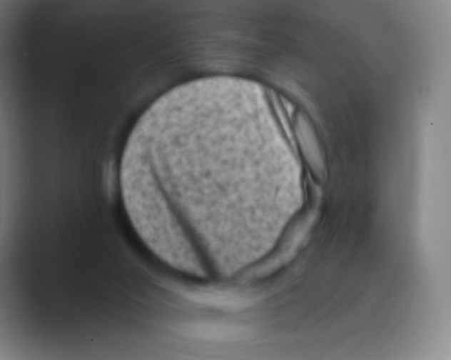 X0000088730020200706282133