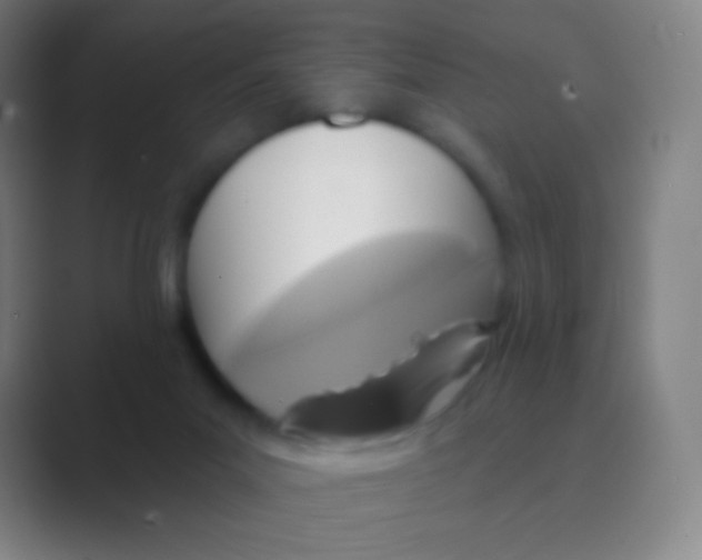 X0000088730023200706282133