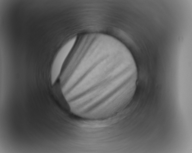 X0000088730025200706282133