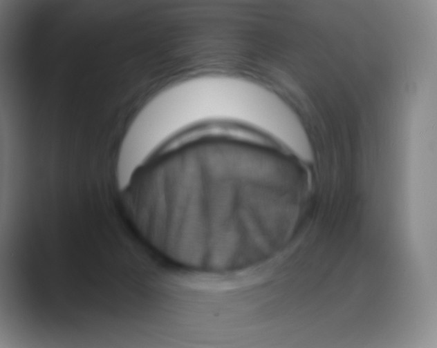 X0000088730029200706282133