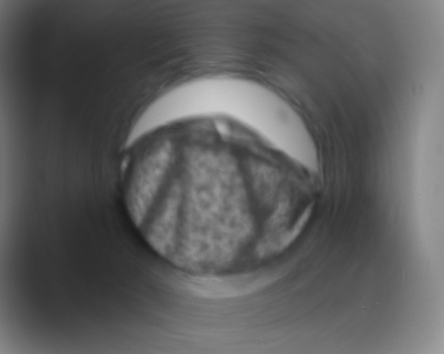 X0000088730030200706282133