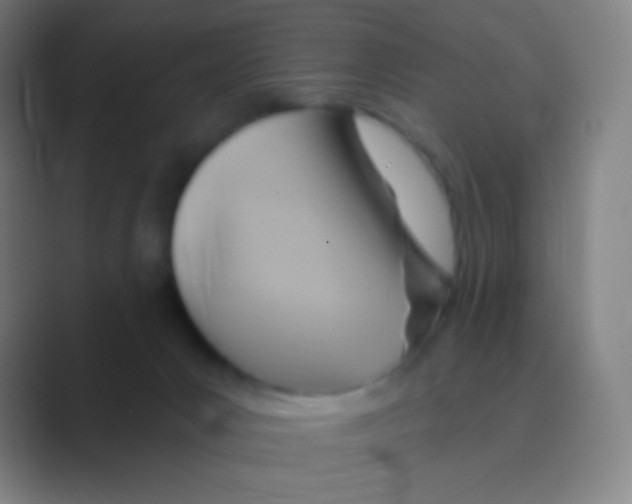 X0000088730031200706282133