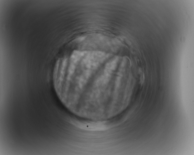 X0000088730032200706282133