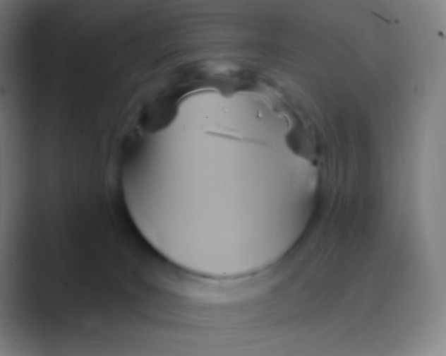 X0000088730035200706282133