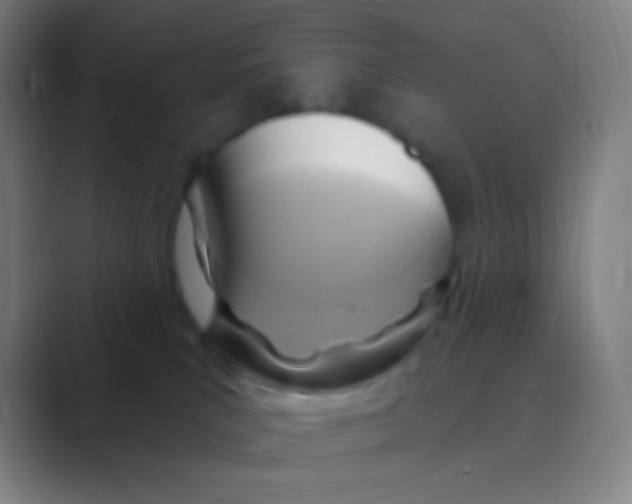 X0000088730039200706282133