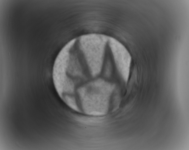 X0000088730040200706282133