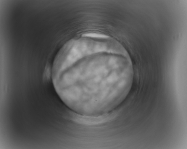 X0000088730042200706282133