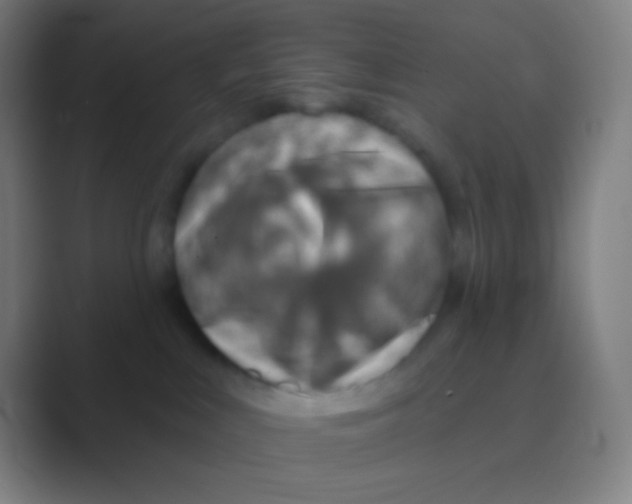 X0000088730043200706282133