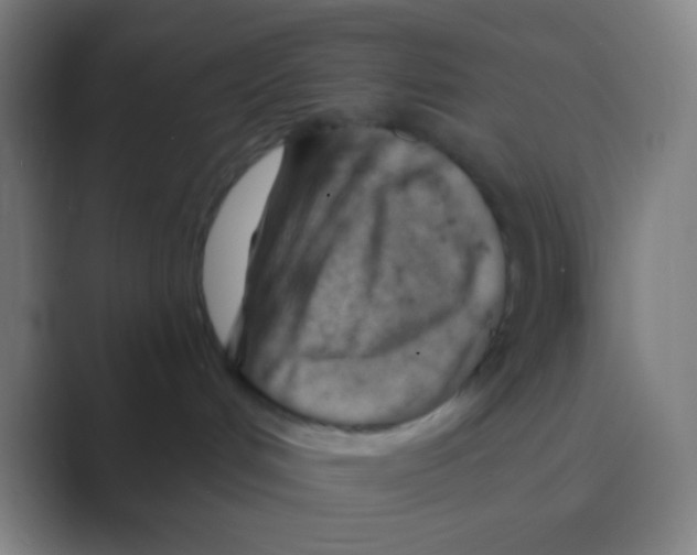 X0000088730048200706282133