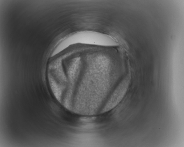 X0000088730051200706282132