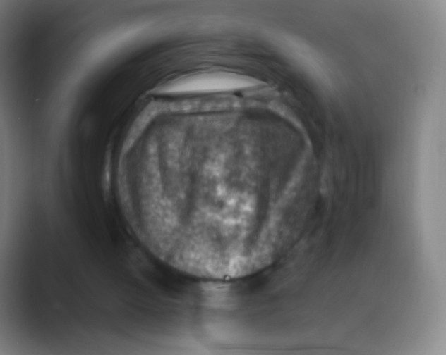 X0000088730052200706282132