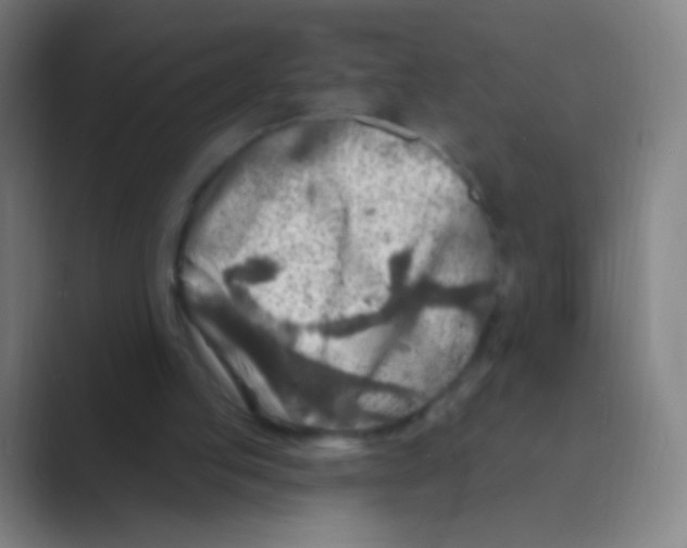 X0000088730053200706282132