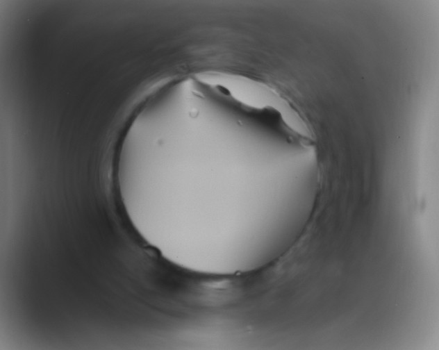 X0000088730054200706282132