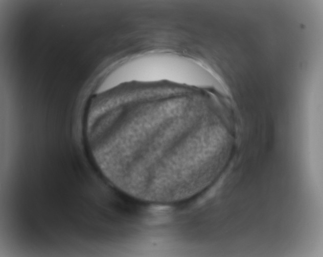 X0000088730055200706282132