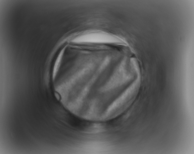 X0000088730056200706282132