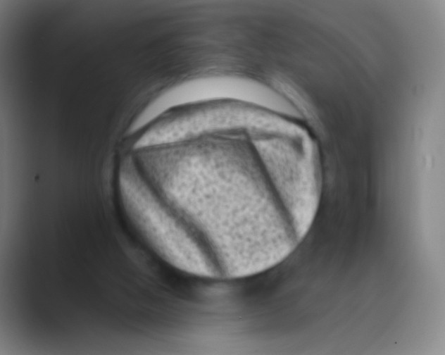 X0000088730058200706282132