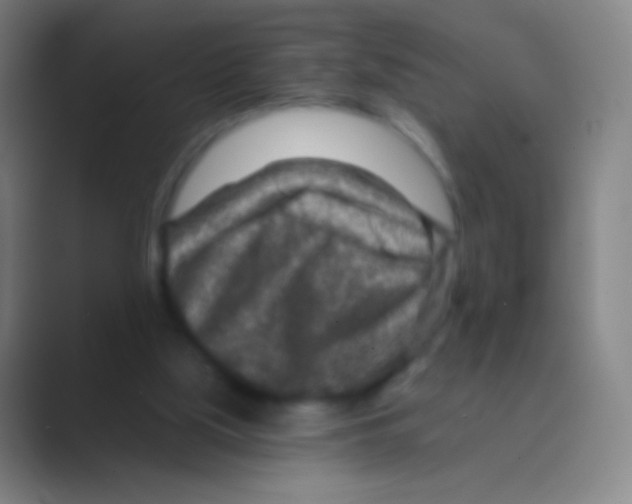 X0000088730059200706282132