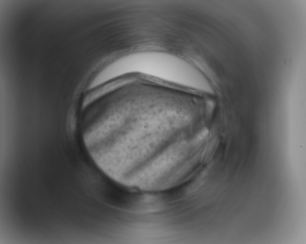 X0000088730060200706282132