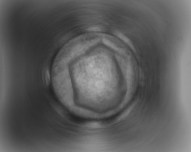 X0000088730061200706282132