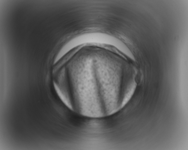 X0000088730064200706282132