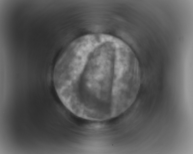 X0000088730065200706282132