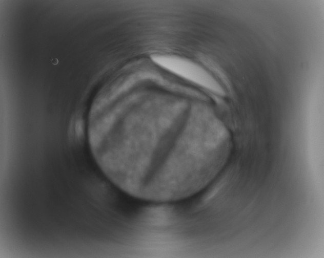 X0000088730067200706282132