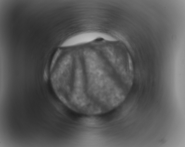 X0000088730069200706282132