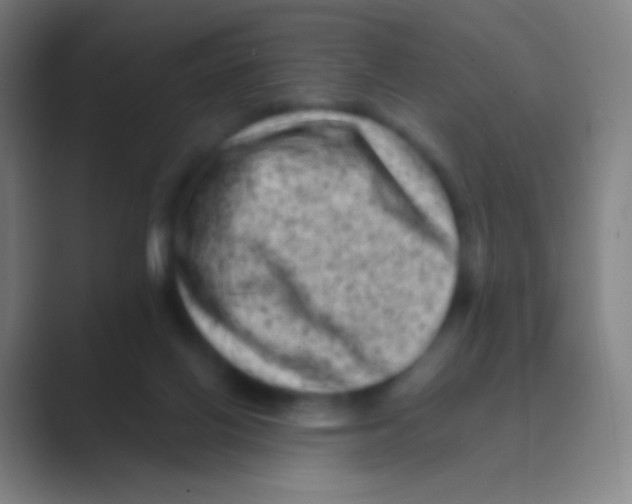 X0000088730070200706282132