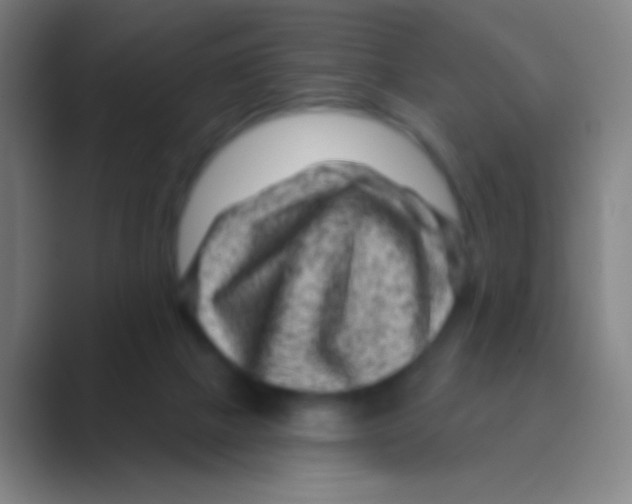 X0000088730073200706282132