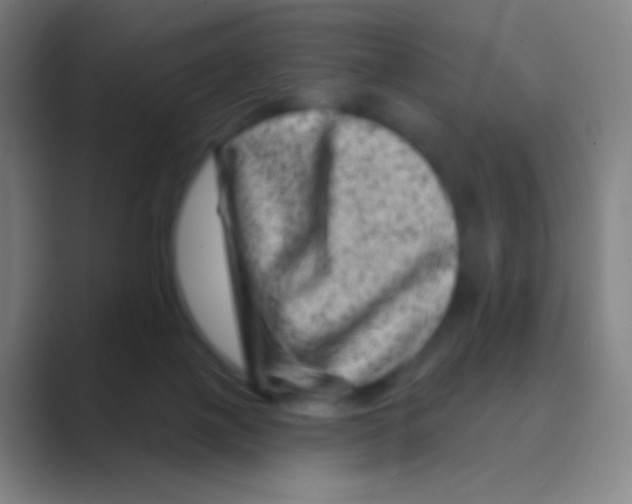 X0000088730075200706282132