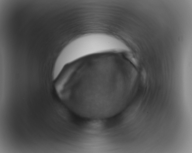 X0000088730076200706282132