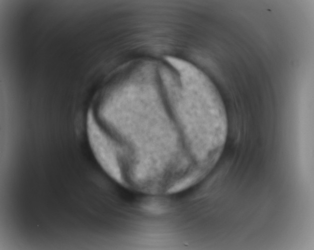 X0000088730077200706282132