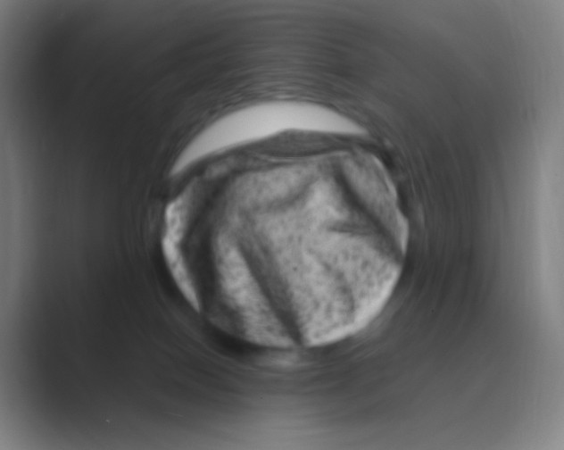 X0000088730086200706282132