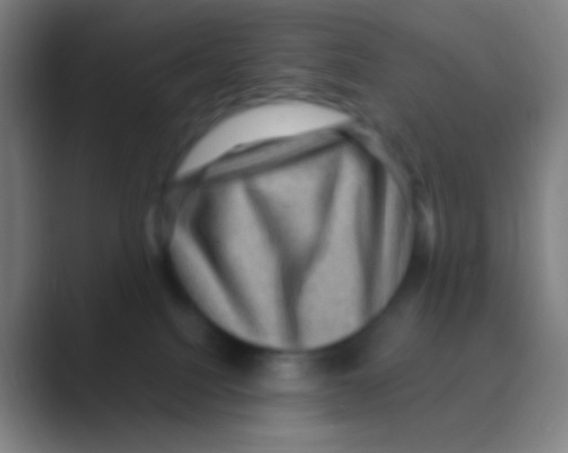 X0000088730088200706282132