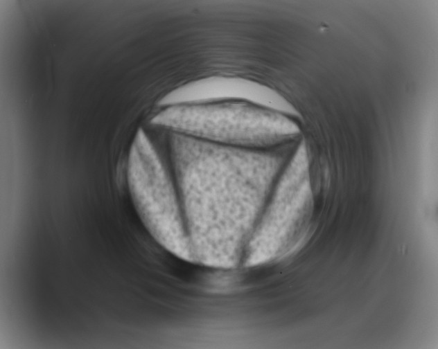 X0000088730094200706282133